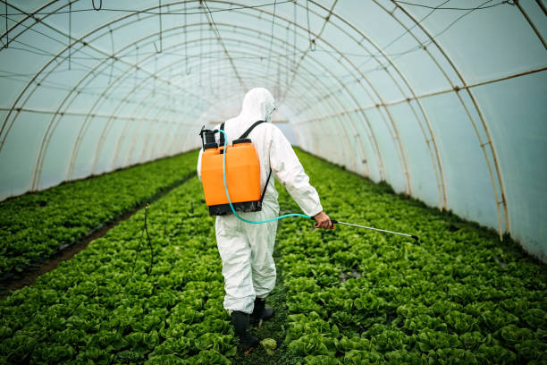 Reliable Ashland, NE Pest Control Solutions