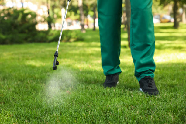Best Local Pest Control Services  in Ashland, NE