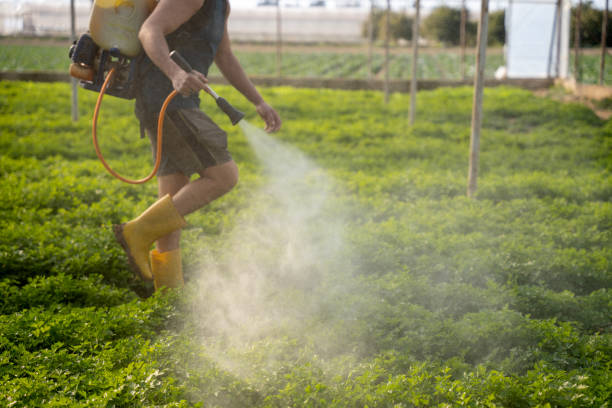 Reliable Ashland, NE Pest Control Solutions