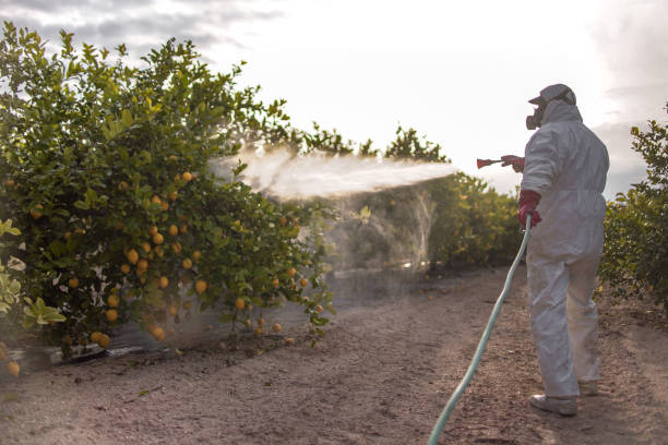 Best Pest Control Near Me  in Ashland, NE