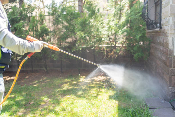 Best Local Pest Control Services  in Ashland, NE