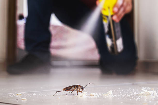 Professional Pest Control in Ashland, NE