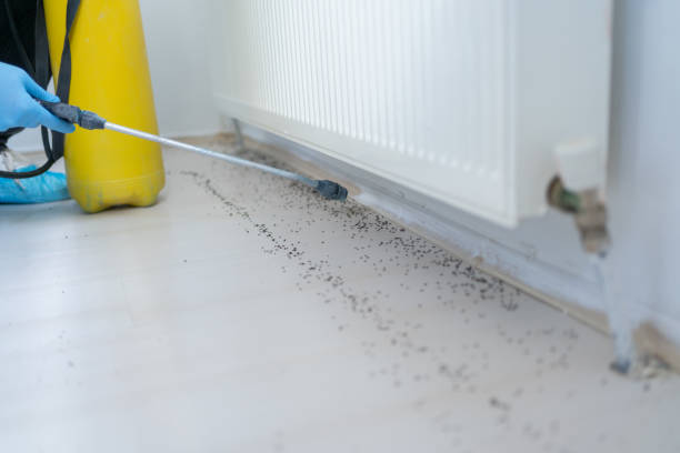 Best Exterminator Services  in Ashland, NE